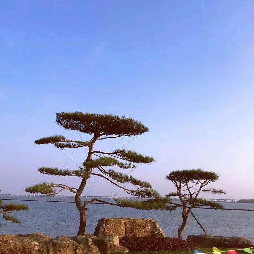 波