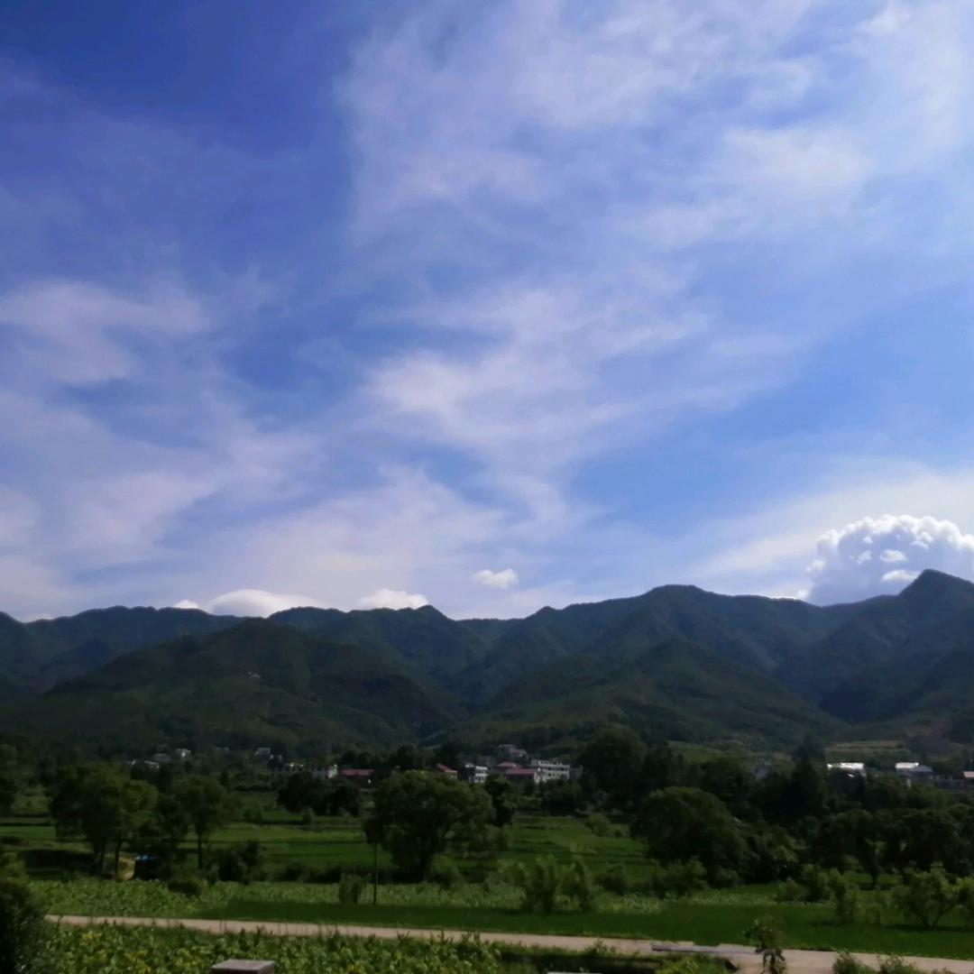 田園書生