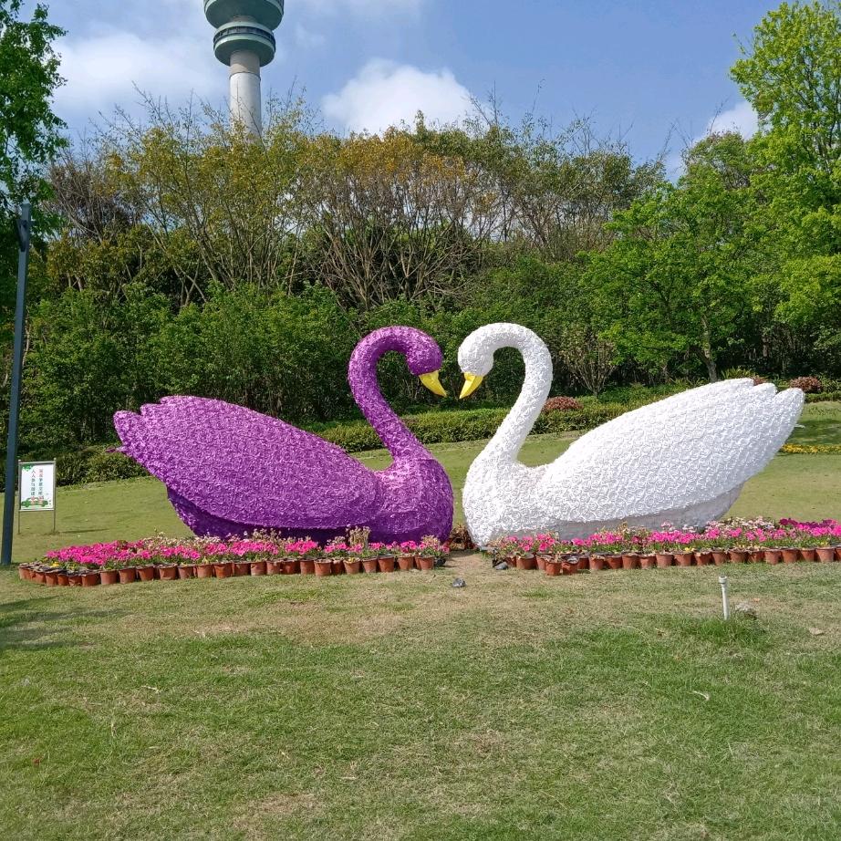 成长自己