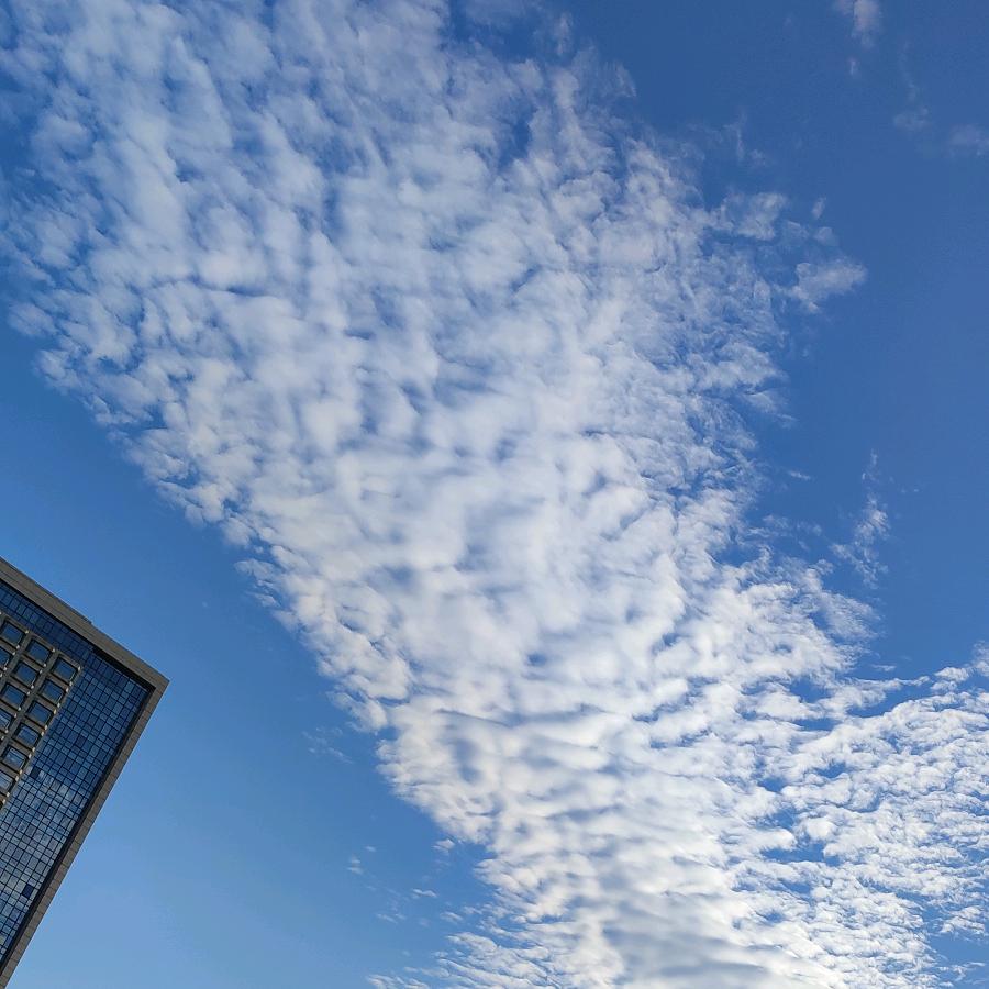 waiting  辣条