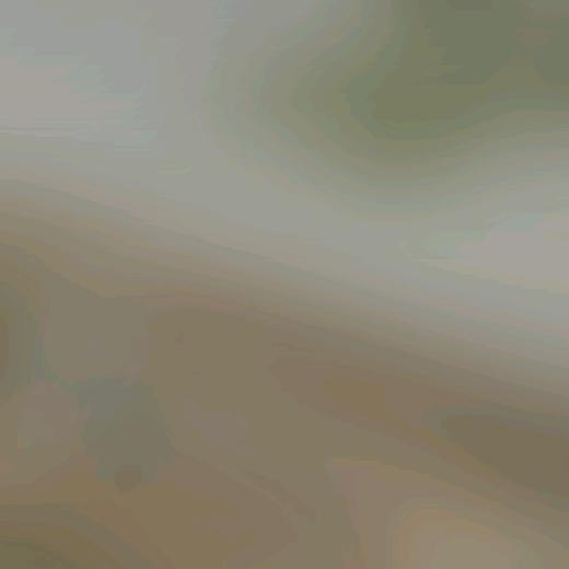 咖啡豆皮卡
