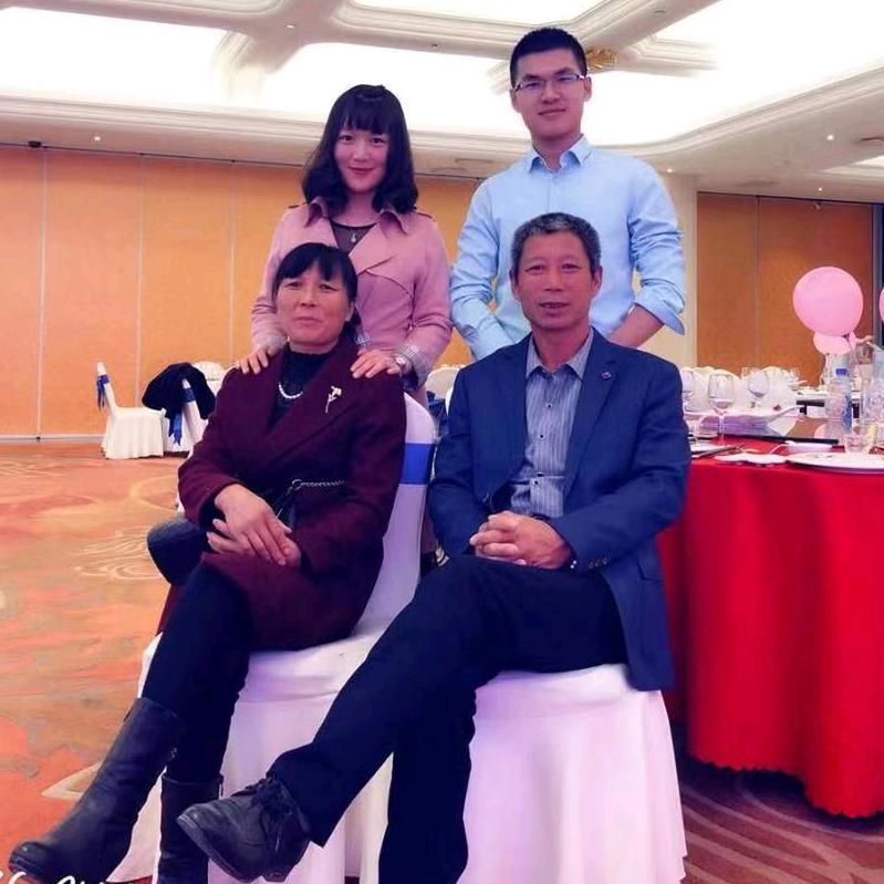 专业收树，砍伐队