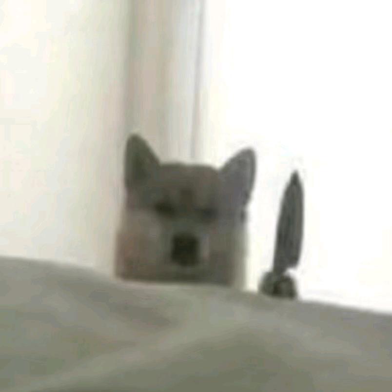 🌈依白白白白白🌈