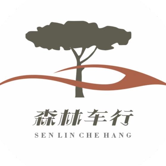泸州森林二手车