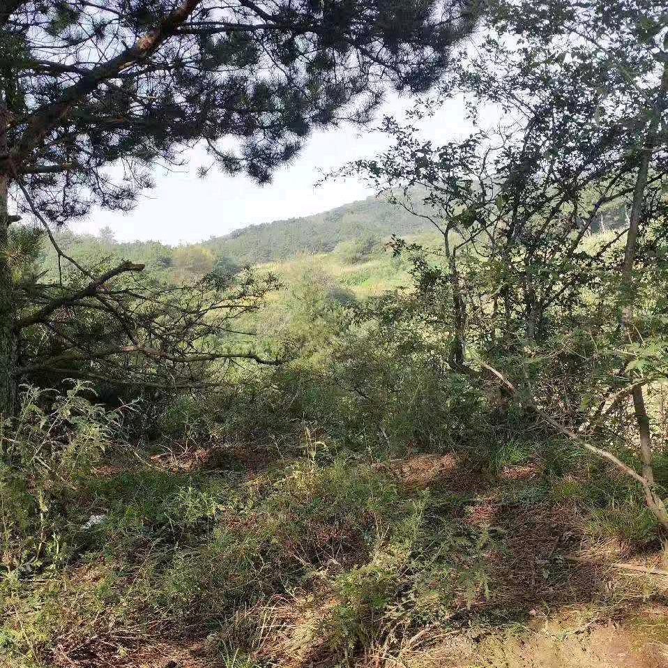 心态好，一切都好！