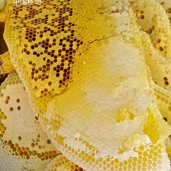 美仙