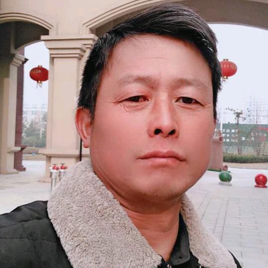 树洞