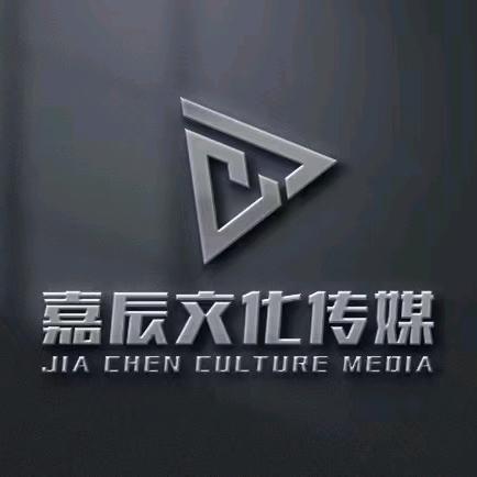 嘉辰传媒