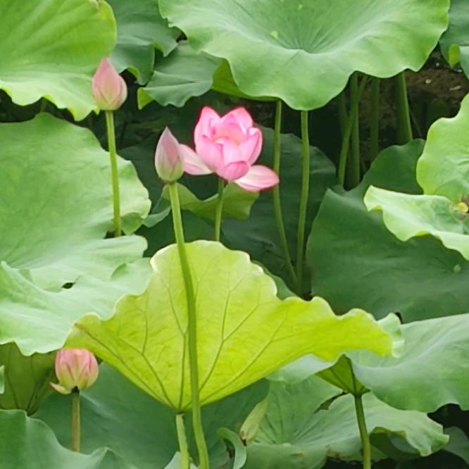 一生随缘，恭喜发财