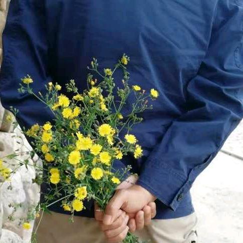 雪里花北-《艺术》