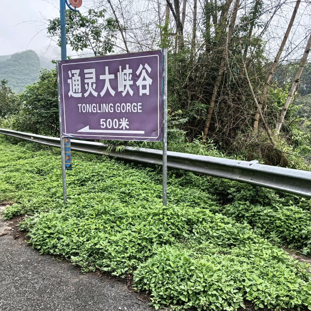 9767386