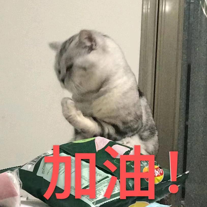 琴海娜