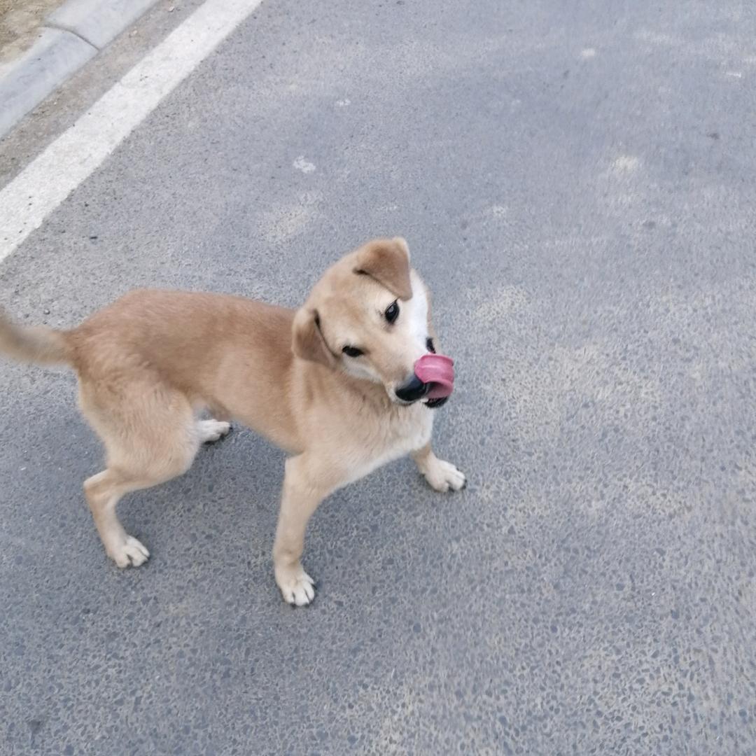 开心