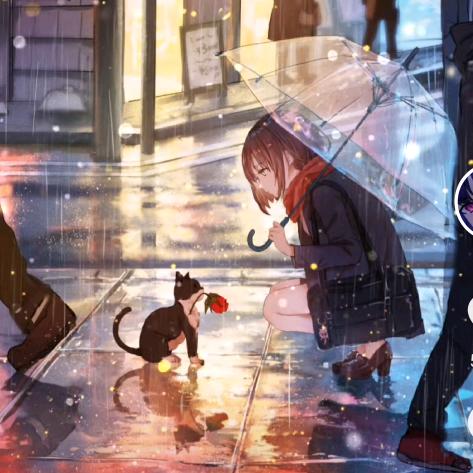樱花雨
