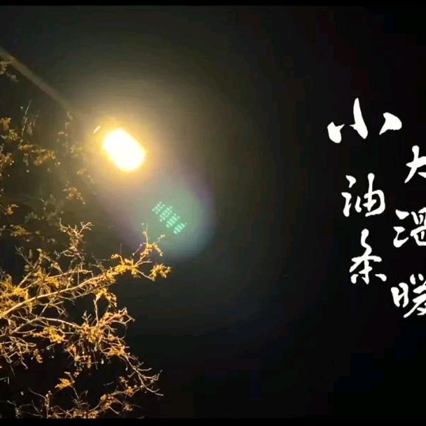 彭记大果子