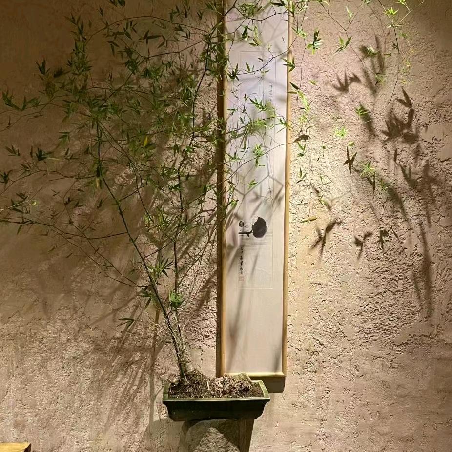 景严