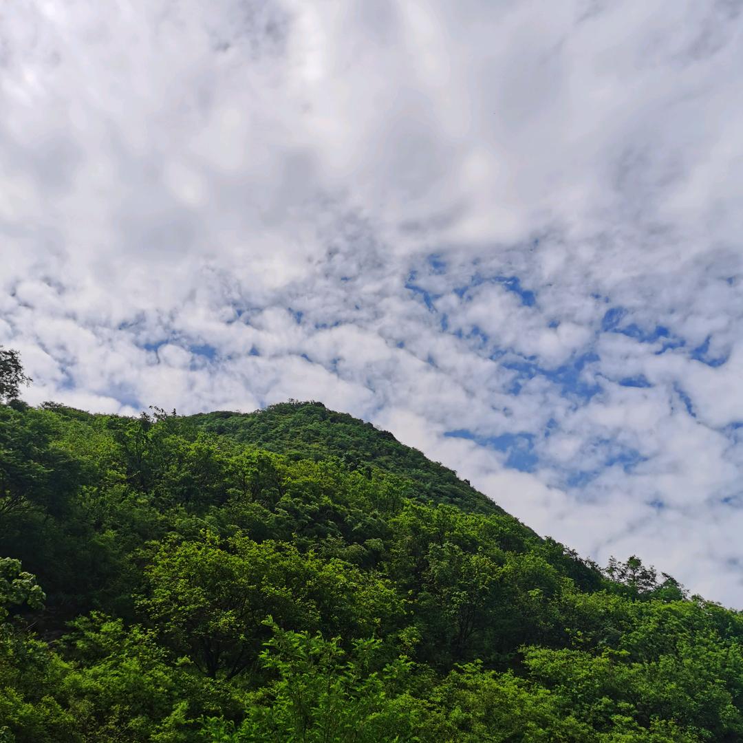 禹州男尚生活馆