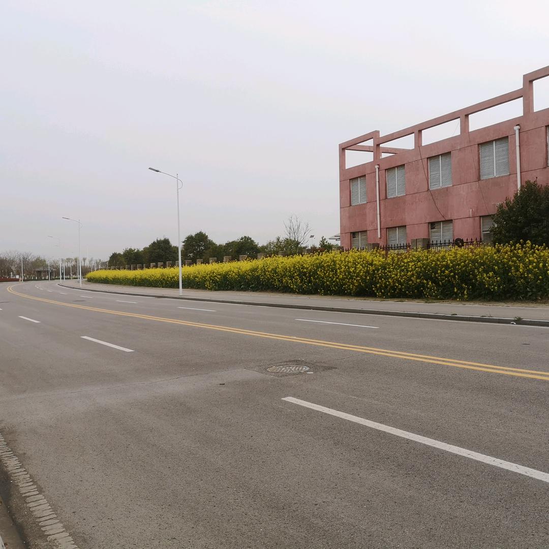 半生归来是少年