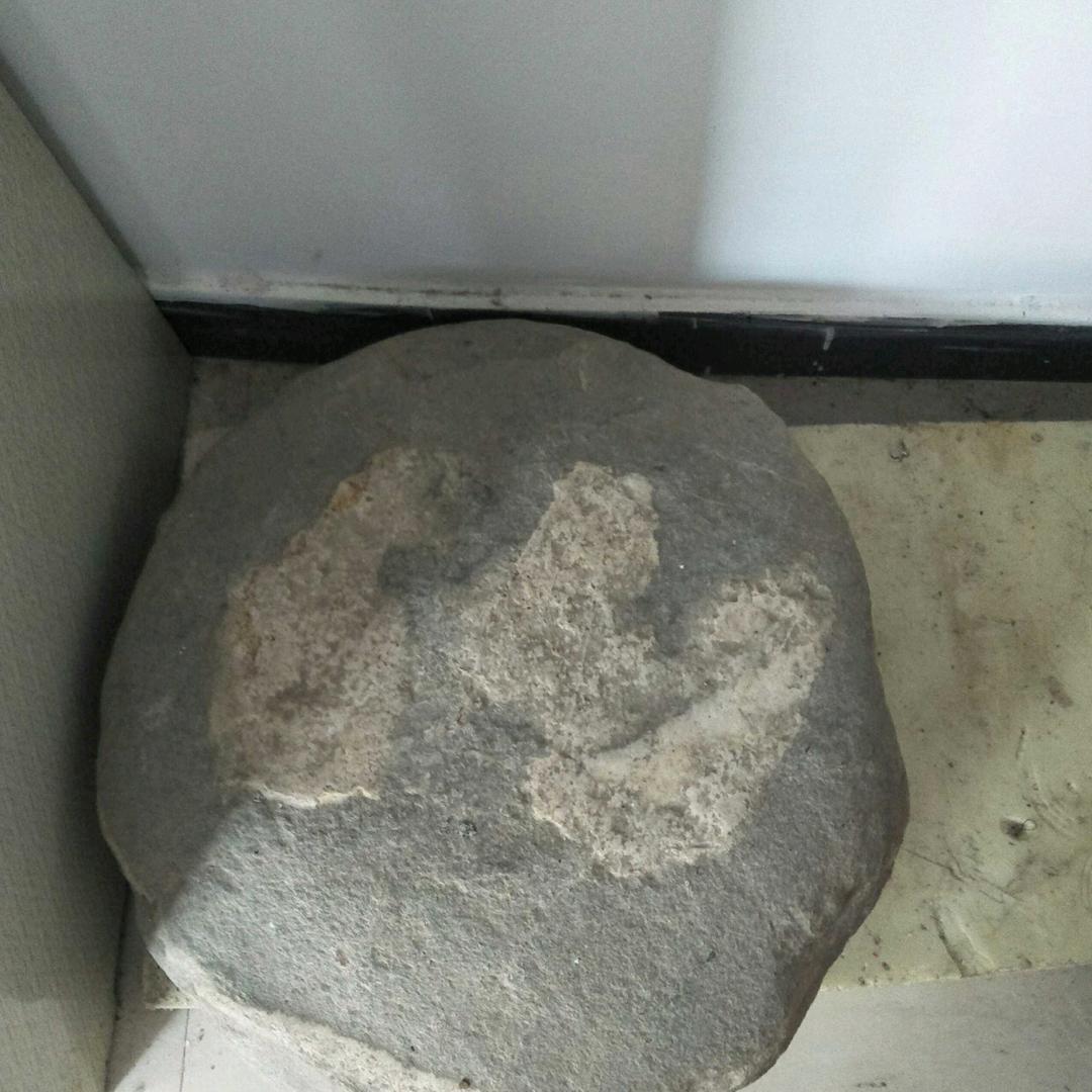 射雕英雄传黄药师