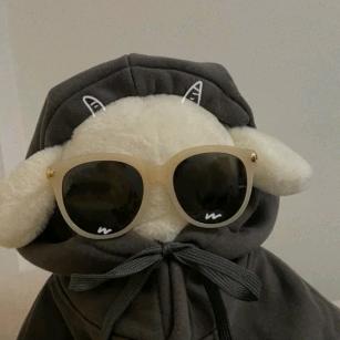 寻寻（三角洲行动）