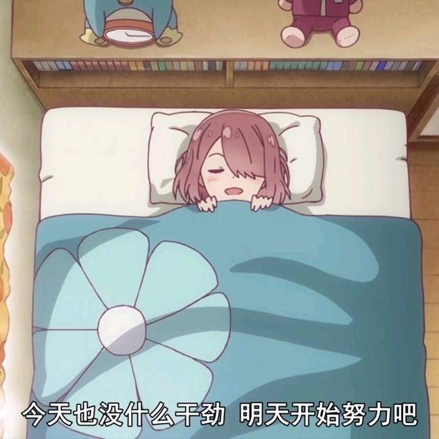 别跟我犟😇