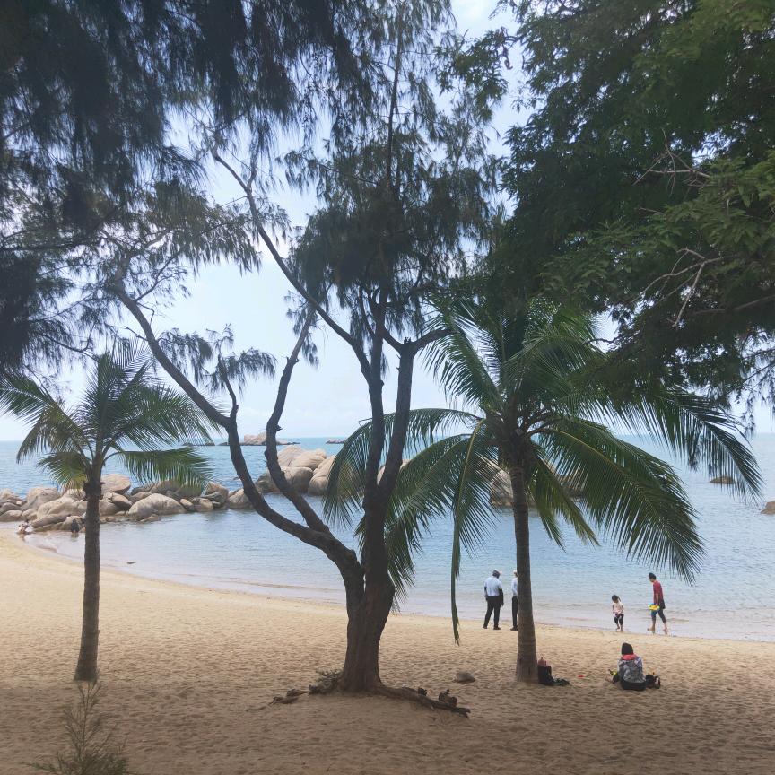 丽