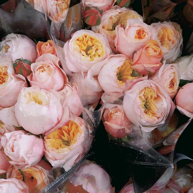 花花