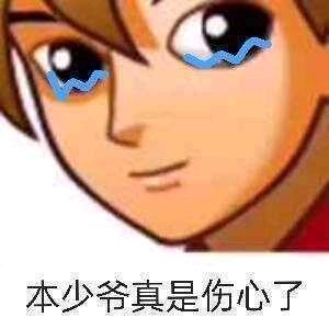自己想办法追本少爷