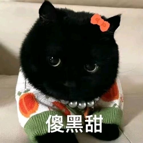 我是社恐