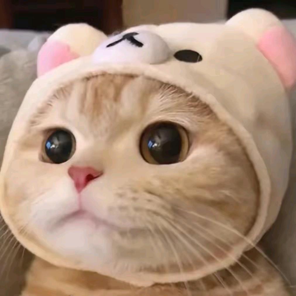 柠檬茶