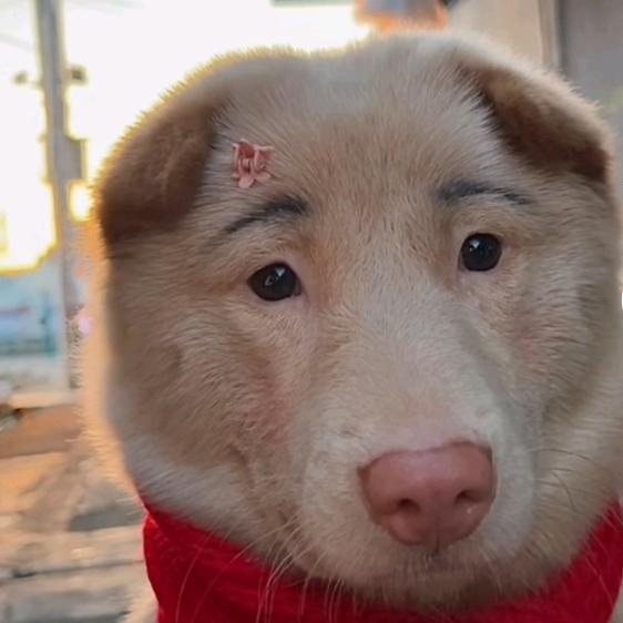 你喊我？