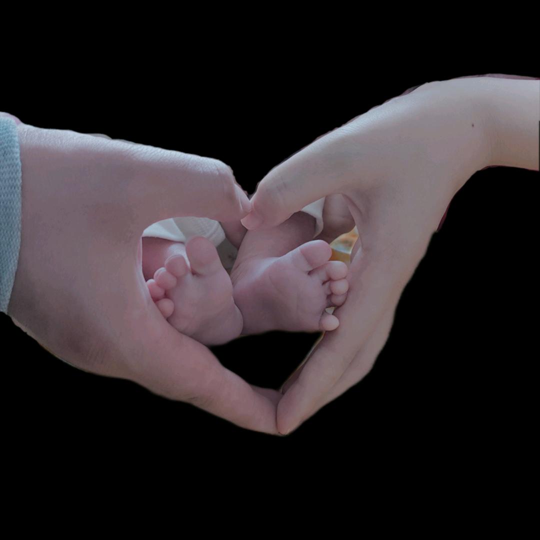 龙泉山下的宁采臣