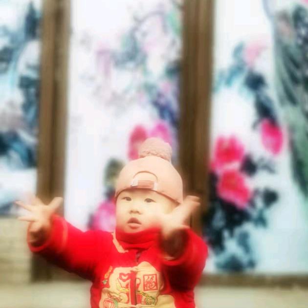 玉凤