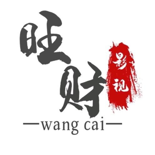旺财影视