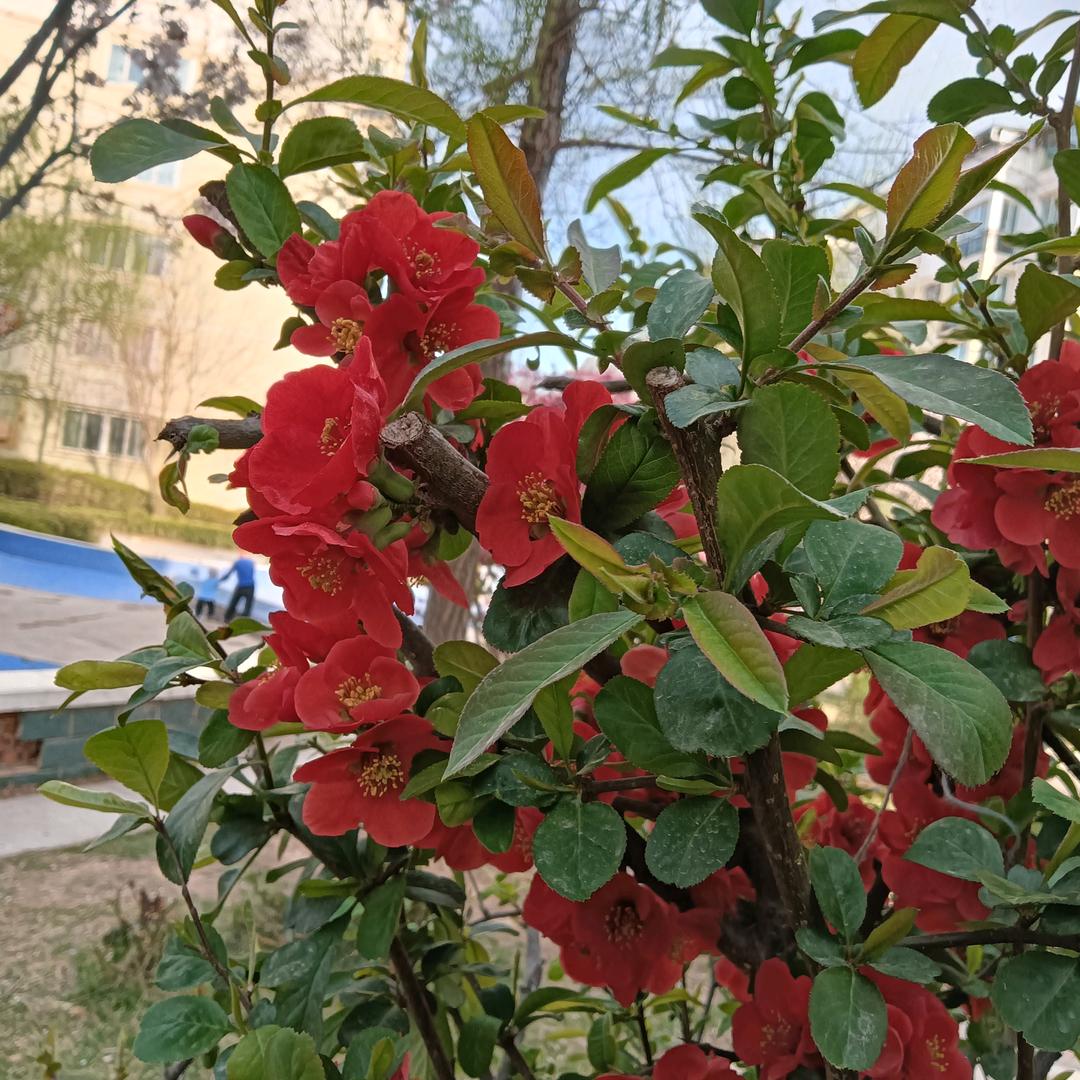 平安，喜乐🍒💞