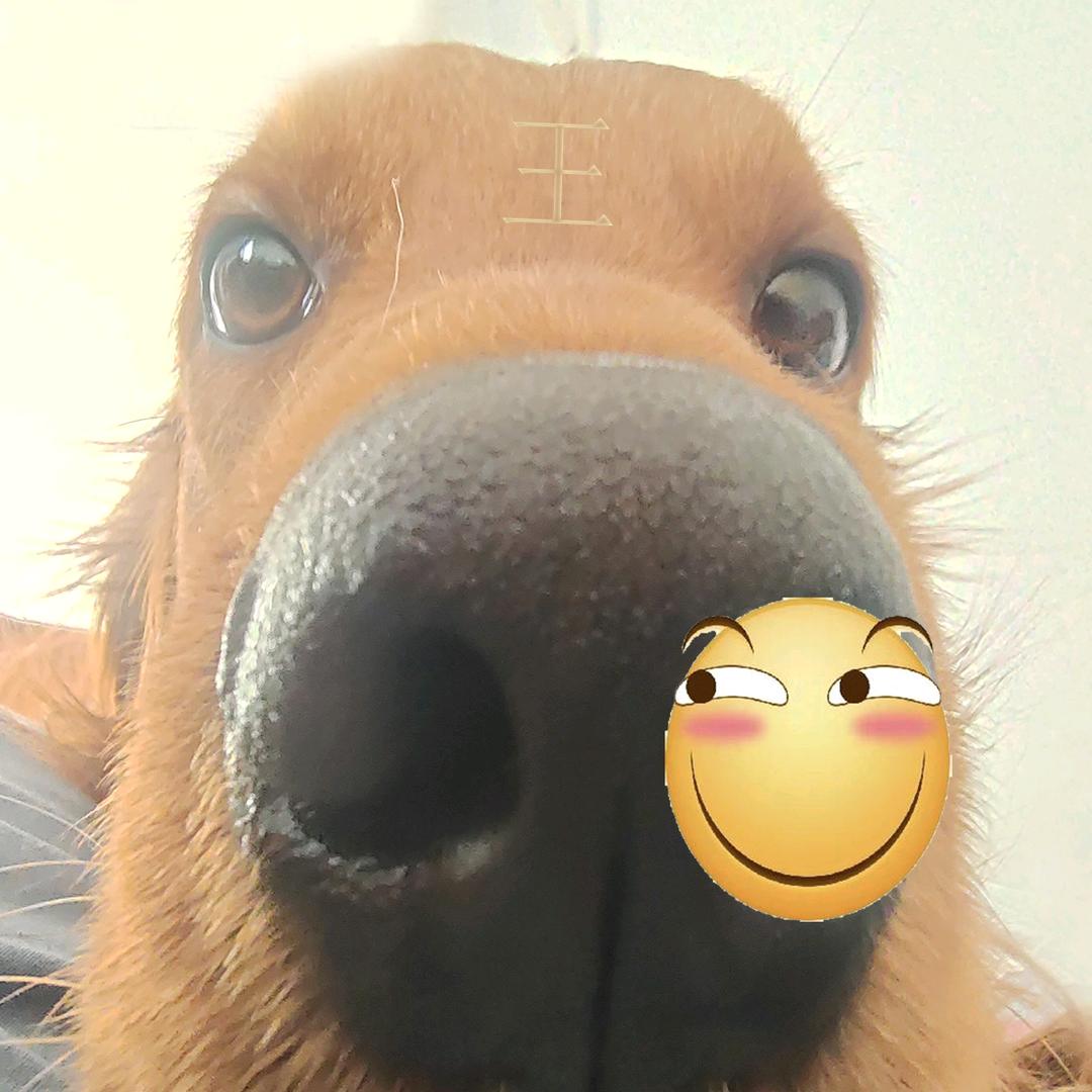 地中海最美证件照（后营美食街二楼）