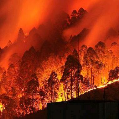善缘(昌鹏装饰潍坊）