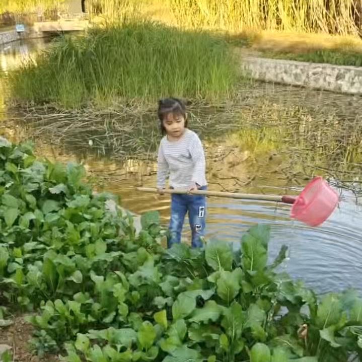 樱（殷）桃小丸子