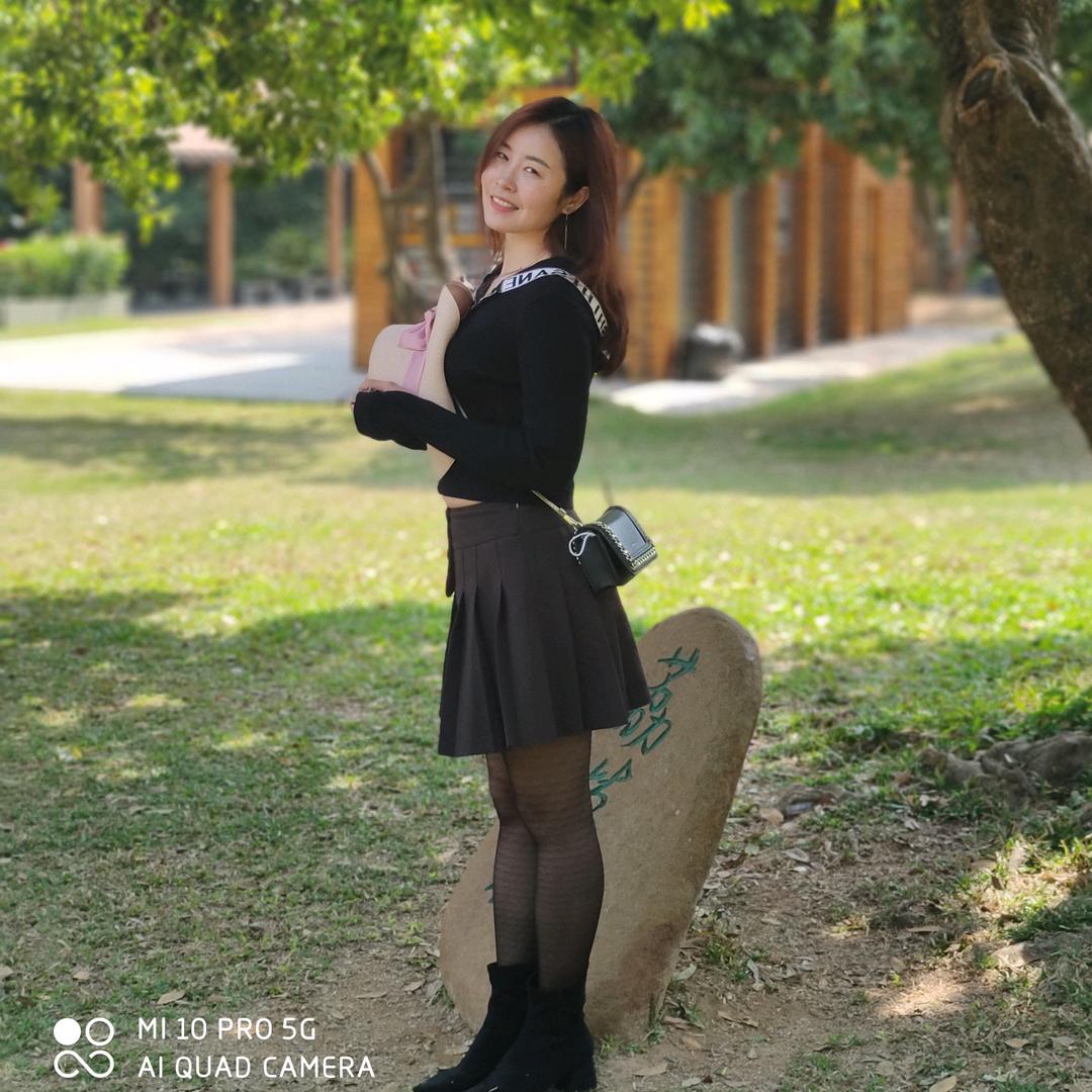 毛毛草