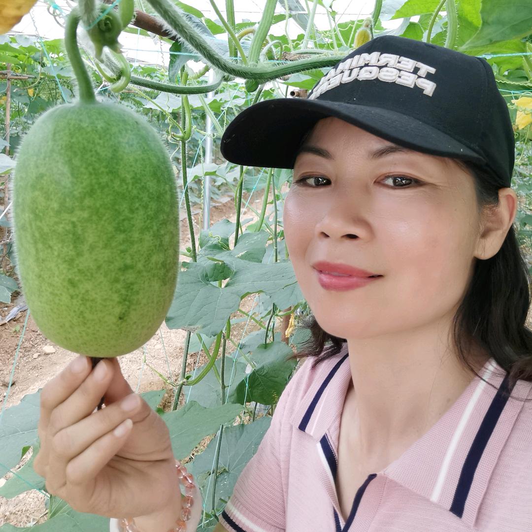 翔禾农场 阿兰