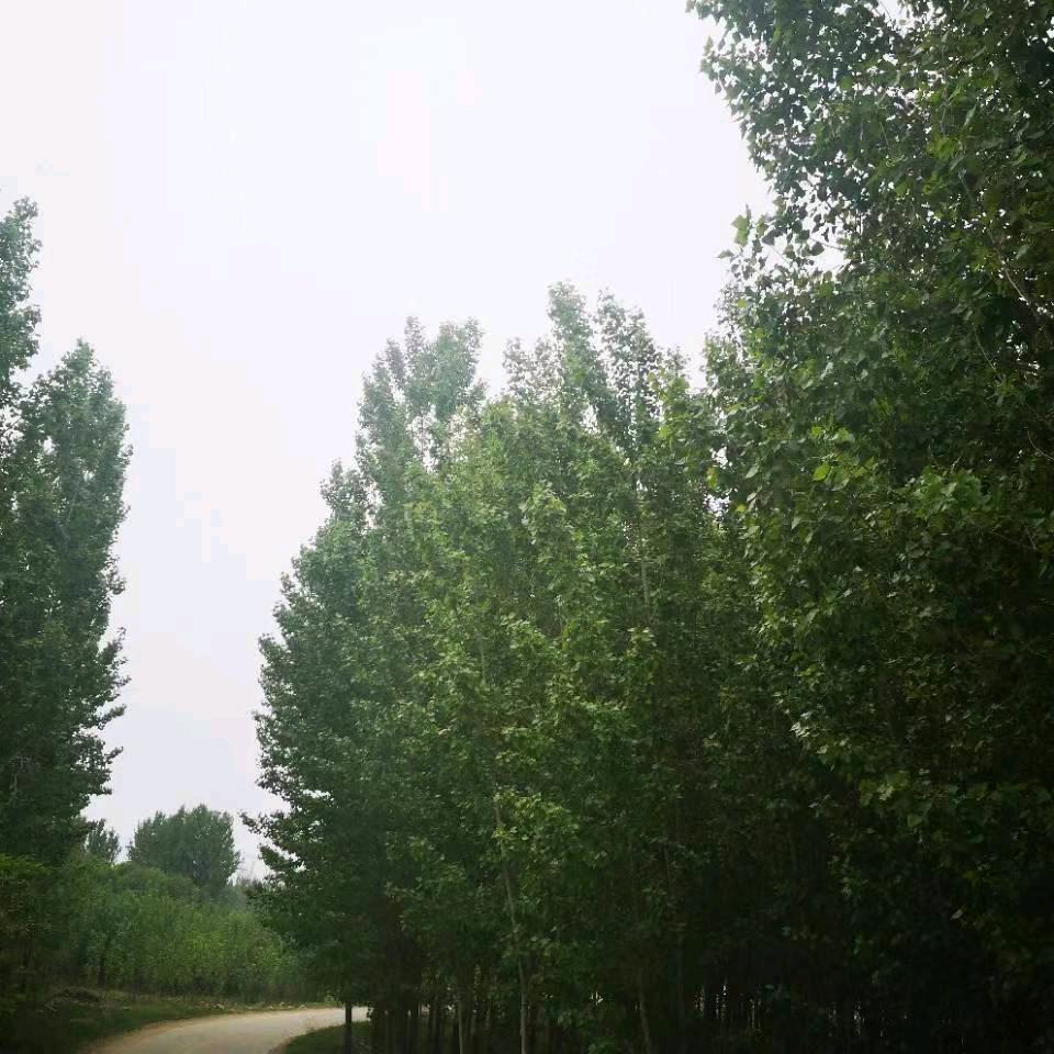 无线信号