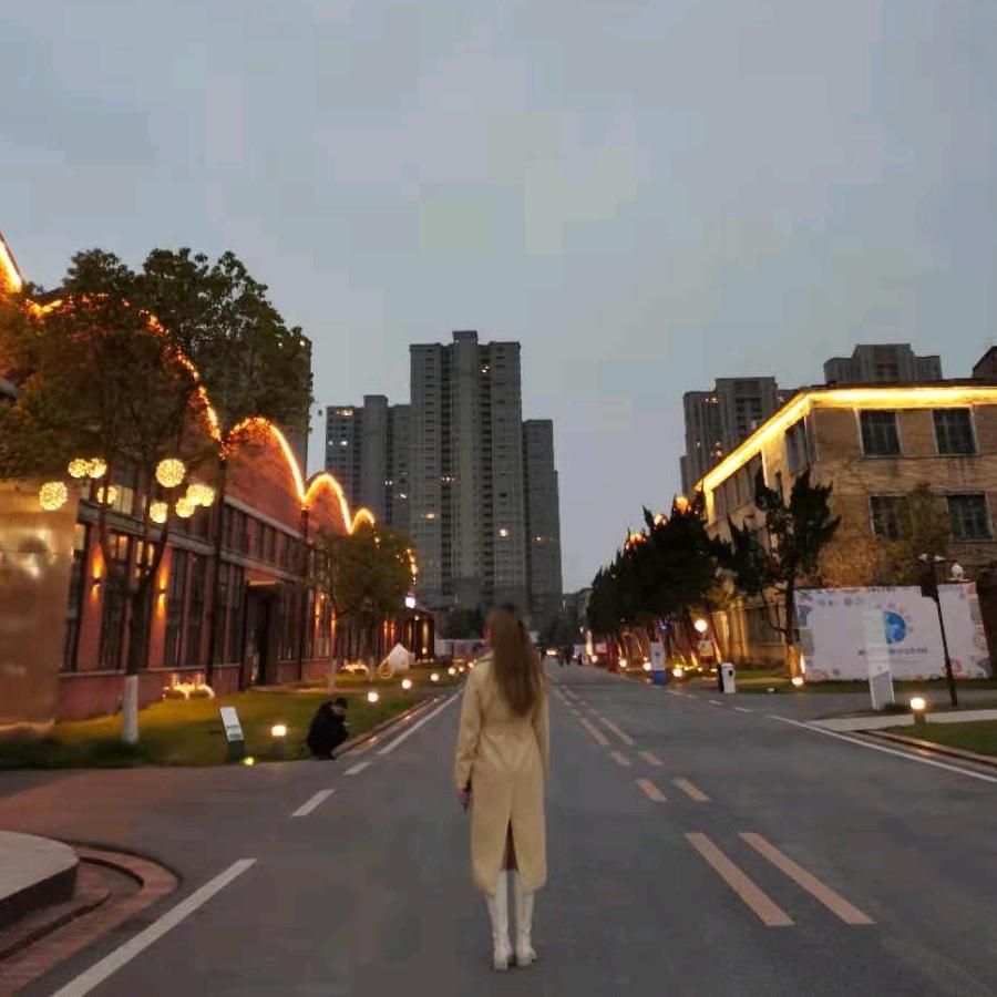 清风挽歌L