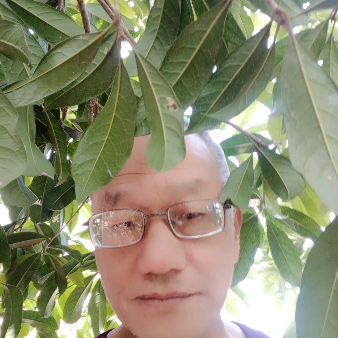天晓德