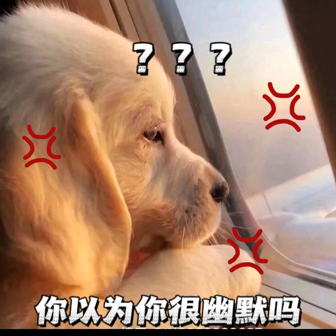 丢丢