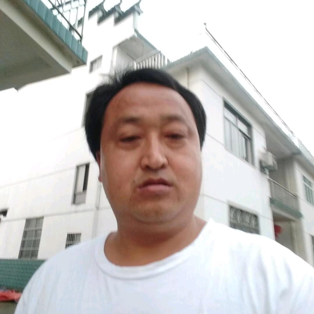 顺其自然（单身）