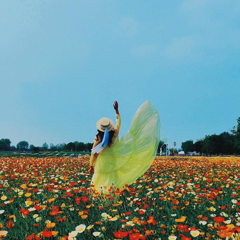 红宝石（手机摄影）