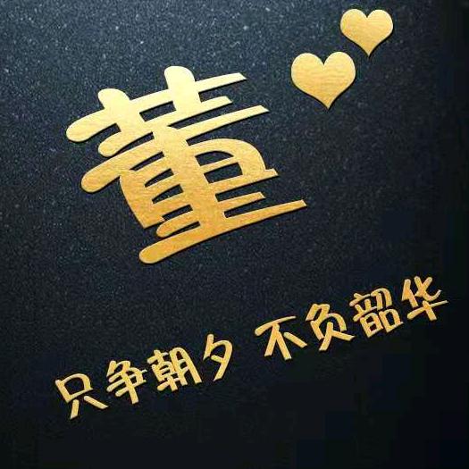 保定亮亮
