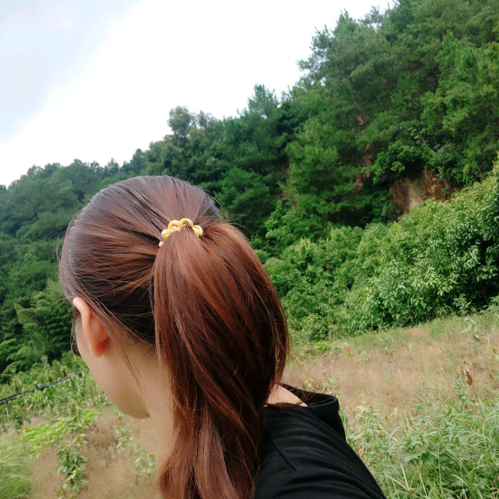 平凡女人（自家有纯蜂蜜）