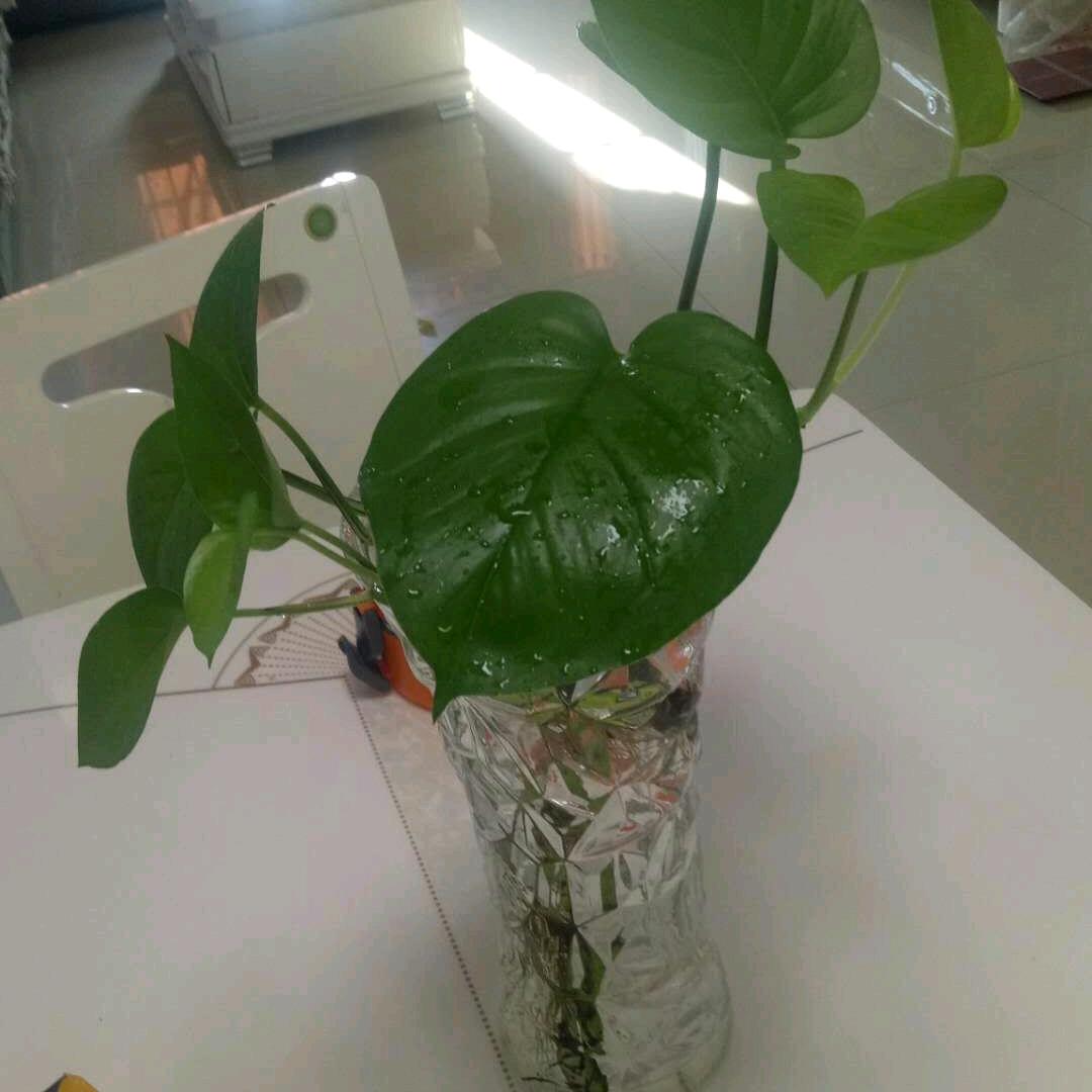 A一生有你🌻