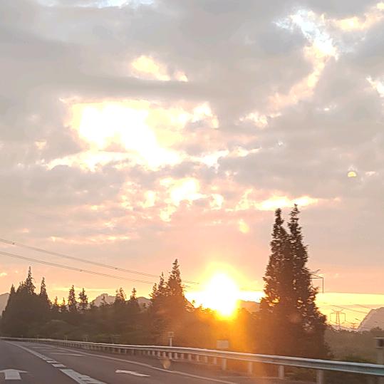 丑陋
